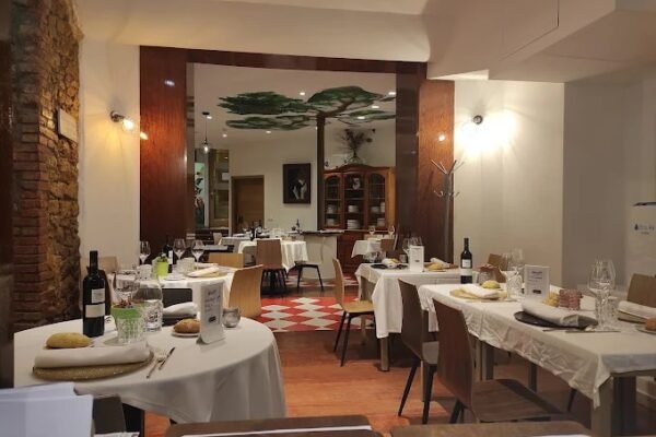 WhatsApp Image 2026-02-20 at 10.55.28 (11)